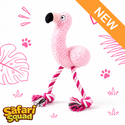 Flo “Main Character” Flamingo