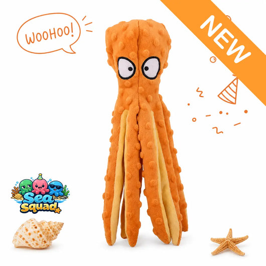 Percy “Party Animal” Octopus