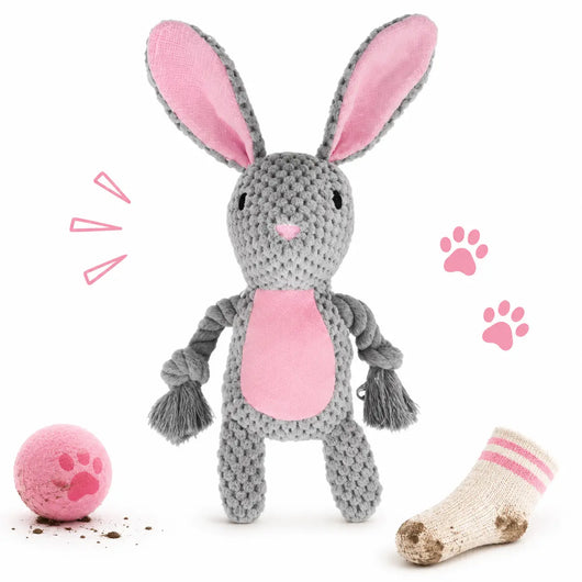 Binky “Zoomie Specialist” Bunny